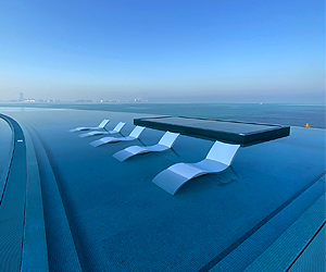 Team Member Team Member