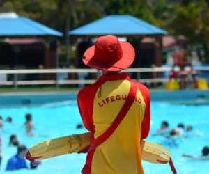 Team Member Team Member